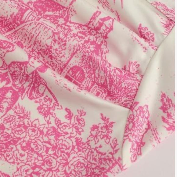 CIDER Toile De Jouy Ruched Mini Dress - Picture 3 of 13